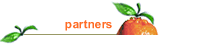  i nostri partners 